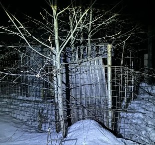 � ����-������� ����������� �� �������� �������������� ������������� ����������� �������