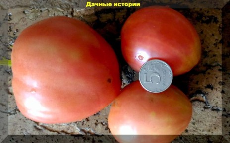 ��� ������� ������ �����: ������� ����� � ����� ������