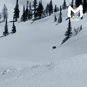 ������� � ������������ ��������� ������� �� �����