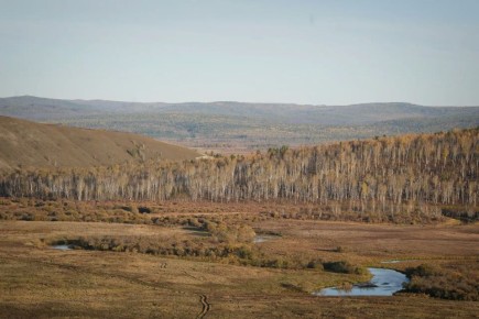 ����� ������: ��� � 16 �� 37 ���������� ������������ ������� ��������� ��������� ������� ������ ������������� �����