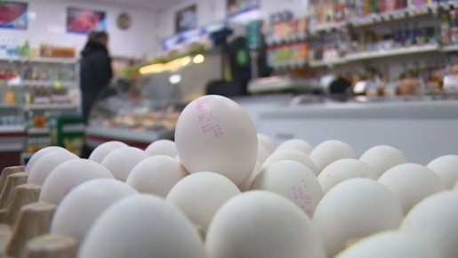 ���� �� ���� � ����������� ������� �� ��� �� 4,8%