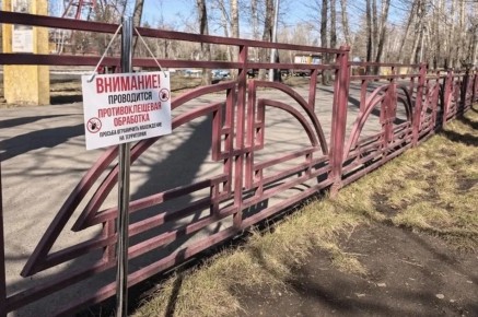 � �������� �������� ������ �� ��������������� ��������� � ����������� � �������, ������ � �� ���������� �������