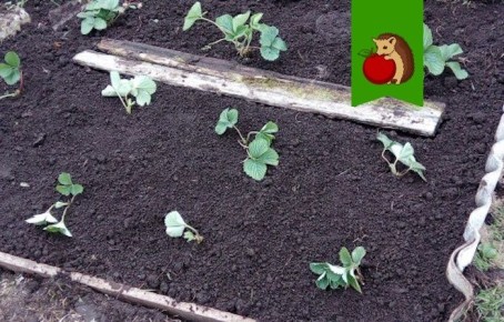 10 ������ ������������ �� ������ ������ ��� ��������: ���� ����� ��������