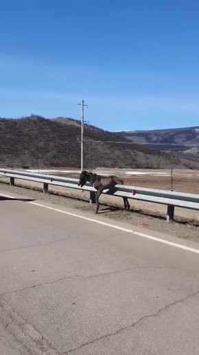 ������� ���������. �������� ������ ��������, ������� ������� �� ����������, �� ���� �� ������