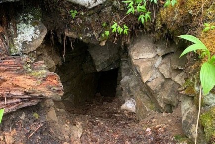 ��� �������. � ��������� ������� ���������� ������� �������� ���� ��������� ������