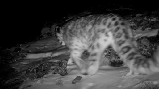 ������� ���� ������� � ����������� � ��������� �����