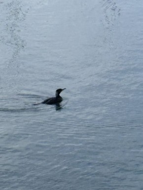 ������� � ������: ����������, �� ������� ��������� ���� ���� �������� ���� ������, �� ������� �������, ������� �� ����������