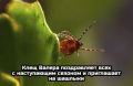������ ����� ������ ������ �� ������ ������������ ���������������� - ����������