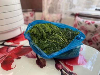 ������� �������� ������: ��� ������������ � ����� �� �����