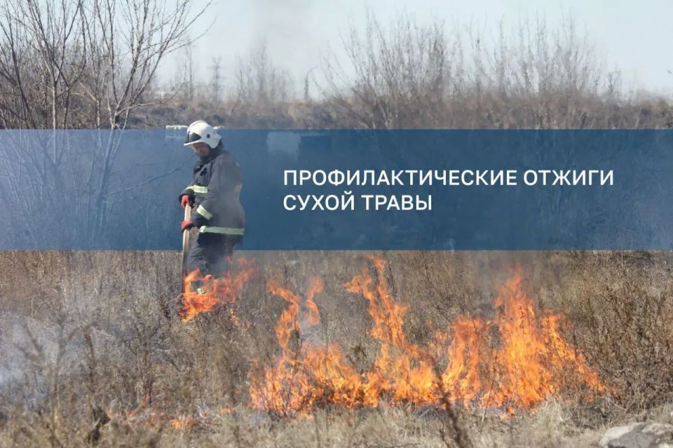 Отжиги сухой травы пройдут сегодня в Октябрьском округе