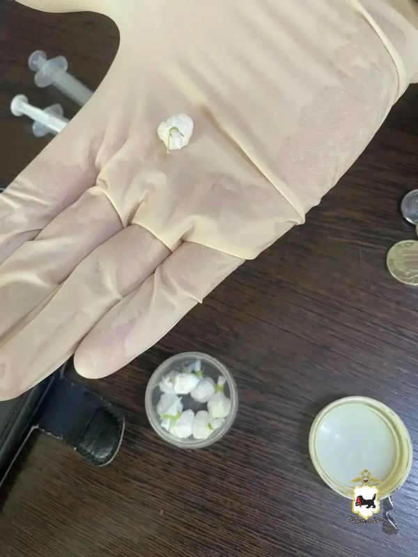 В Братске полицейские задержали сбытчика синтетических наркотиков