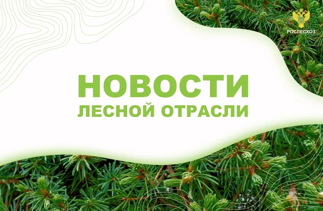 StolicaMedia: Лесопатологи Подмосковья сообщили о начале вегетационного периода в регионе