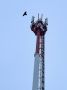 ��� ��������� �������� 4G � ��������� ������� � ������� ����������� ������������