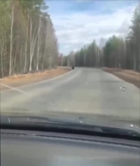 ������� ����� �� ������ � ����-�������