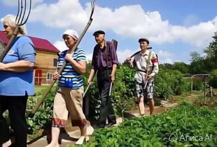 Мошенники обманывают дачников поддельными штрафами: рассылают сообщения о «нарушениях» земельного законодательства и предлагают оплатить штраф со скидкой по ссылке