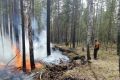 В Иркутской области накануне обнаружили и ликвидировали один лесной пожар