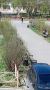 � ������ ���� ����� ������ �� ����� �� ������� ��������