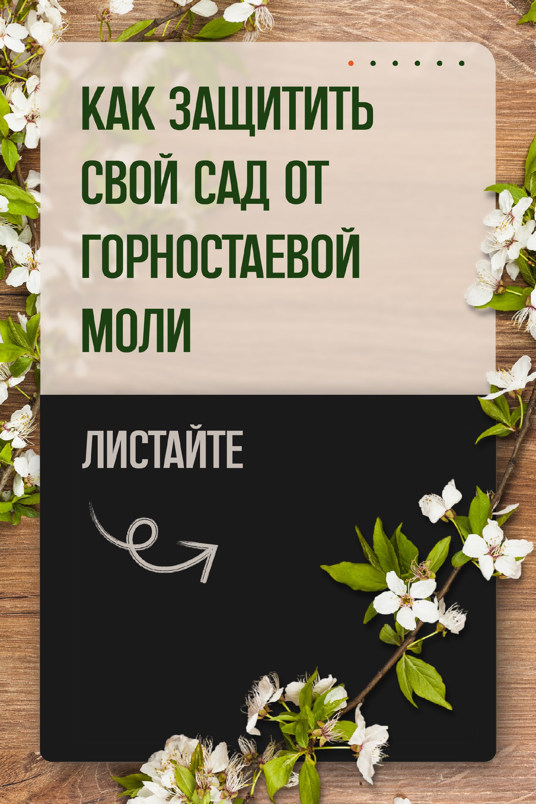 Защищаем сад от горностаевой моли: проверенные методы Защищаем сад от горностаевой моли: проверенные методы