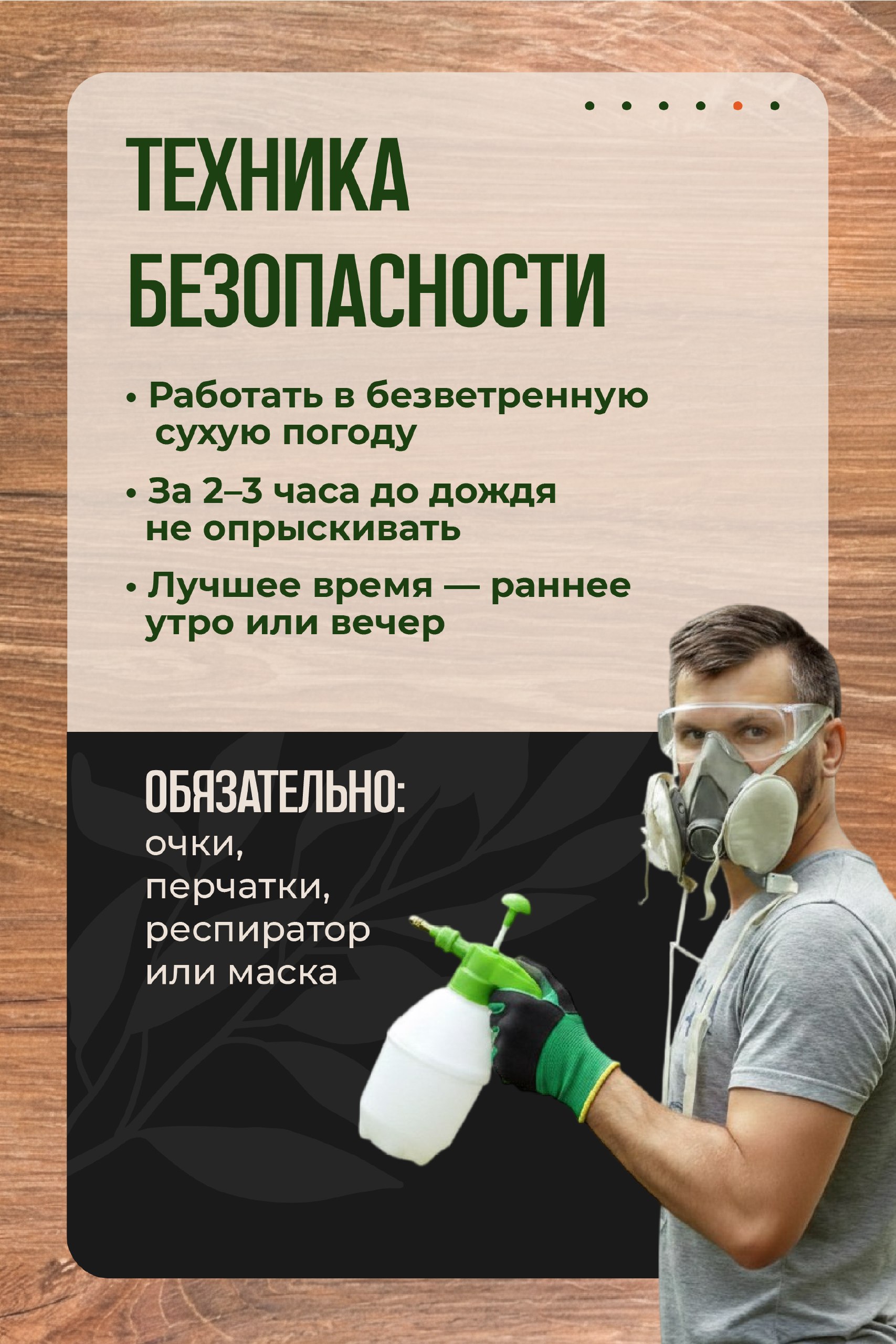Защищаем сад от горностаевой моли: проверенные методы Защищаем сад от горностаевой моли: проверенные методы