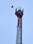��� ��������� �������� 4G � ��������� ������� � ������� ����������� ������������