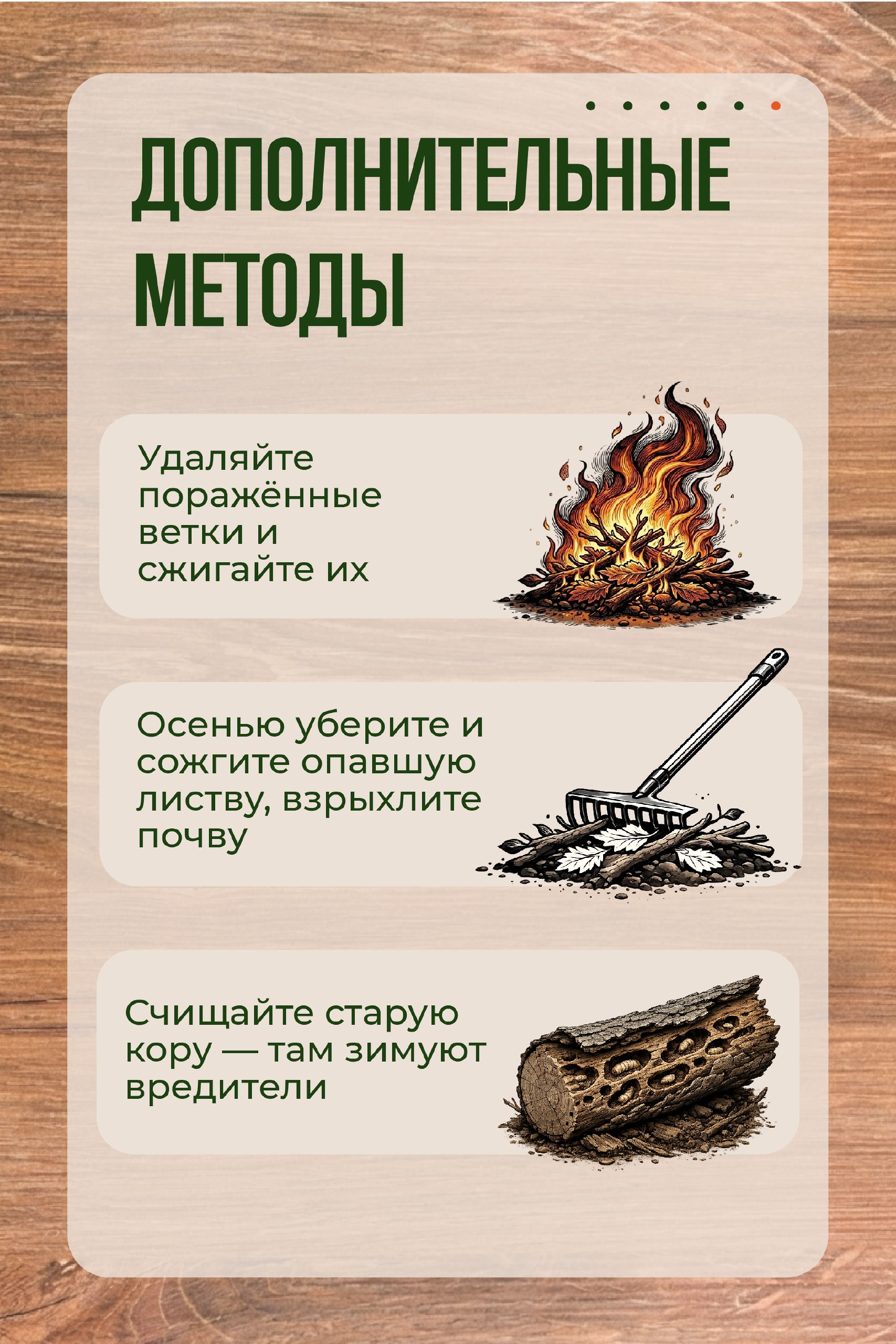 Защищаем сад от горностаевой моли: проверенные методы