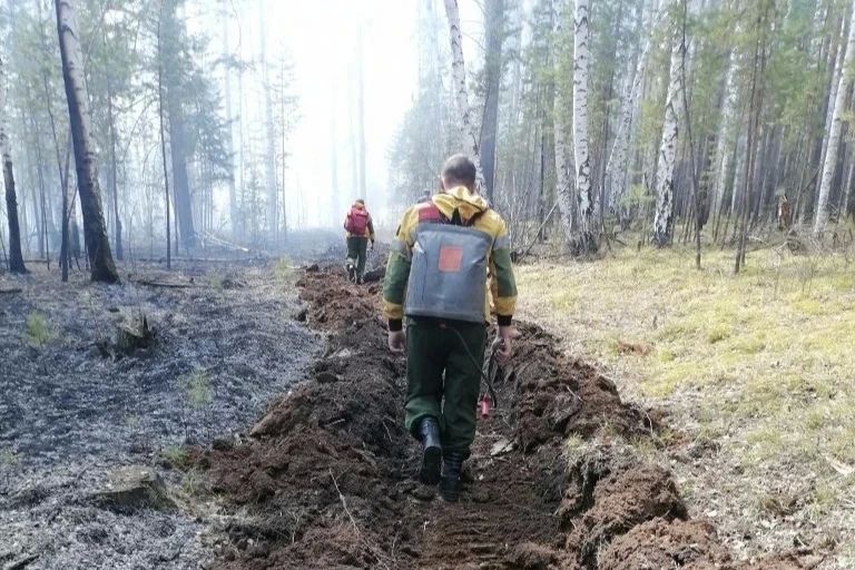 С 15 по 17 мая в лесном фонде в Иркутской области ликвидировали 10 возгораний