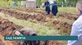 19 тыс. молодых сосен высадили волонтеры, общественники и члены правительства в районе поселка Усть-Балей