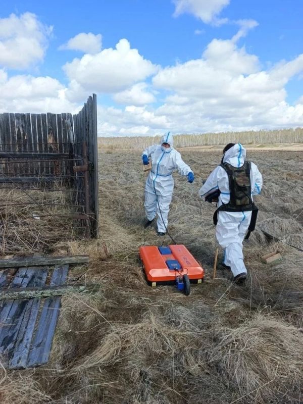 Служба ветеринарии Иркутской области ведёт работу по георадарному исследованию скотомогильников Служба ветеринарии Иркутской области ведёт работу по георадарному исследованию скотомогильников