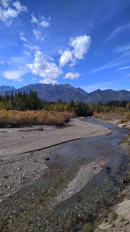 По дороге на Аршан Фото: Елена Амбурцева По дороге на Аршан Фото: Елена Амбурцева