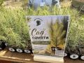 В Иркутском лесничестве в районе поселка Усть-Балей высадили почти 19 тысяч молодых сосен