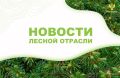 РИАМО: Около 22 тыс саженцев сосны и ели посадили в рамках акции «Сад Памяти» в Химках