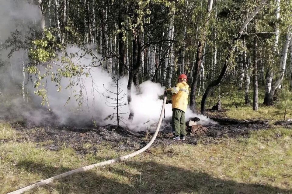 В Иркутской области накануне обнаружили и ликвидировали один лесной пожар