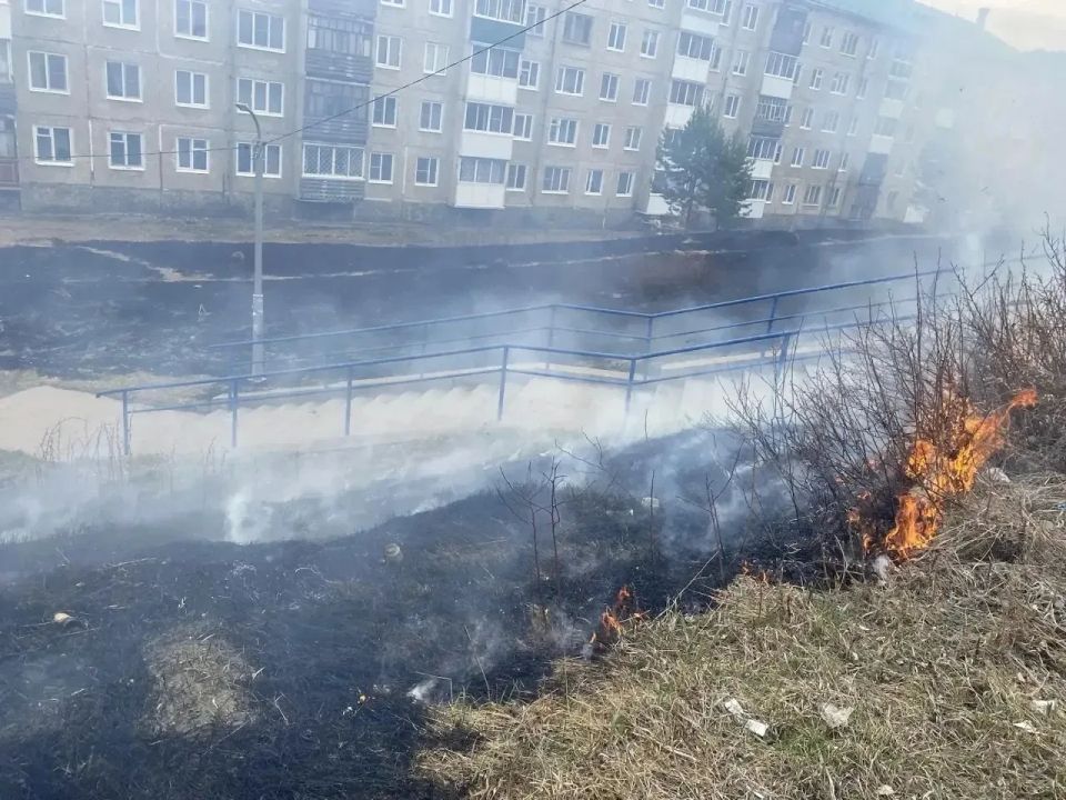 Игорь Кобзев: Сегодня в лесном фонде региона идет ликвидация одного пожара Игорь Кобзев: Сегодня в лесном фонде региона идет ликвидация одного пожара