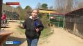 � ������� ������� ��������� � ��������� ��������