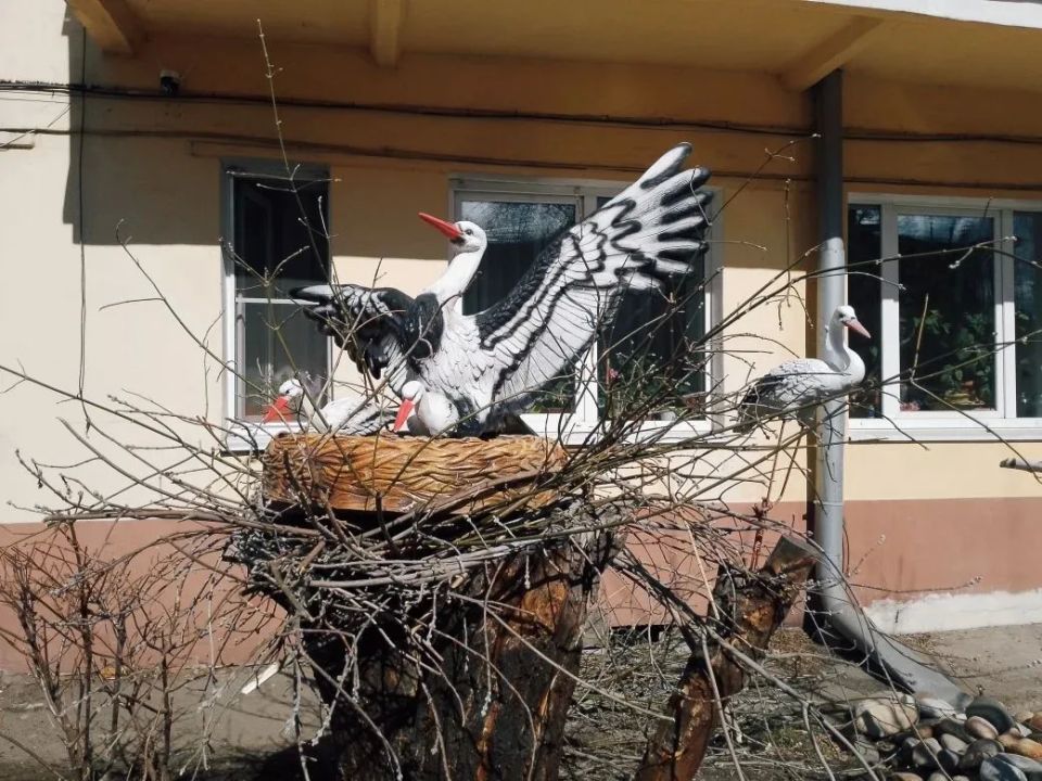 Успели сфотографировать до дождя: аисты «свили гнездо» в одном из иркутских дворов по улице Желябова — так местные жители украсили придомовую территорию Успели сфотографировать до дождя: аисты «свили гнездо» в одном из иркутских дворов по улице Желябова — так местные жители украсили придомовую территорию