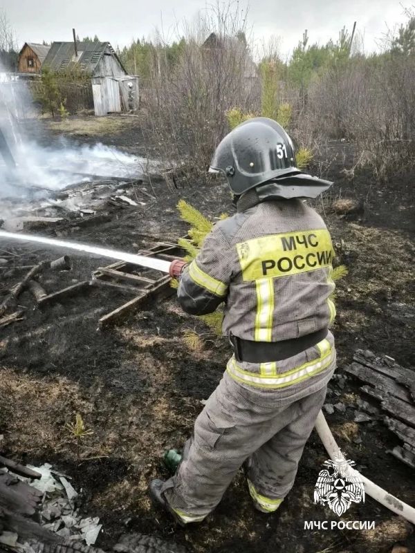 В Прибайкалье за минувшие сутки: В Прибайкалье за минувшие сутки: