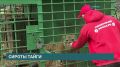 Они остались без матери и едва смогли выжить