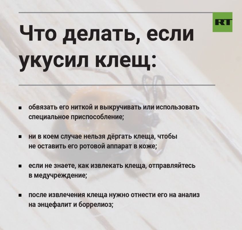 Более 2,5 млн россиян привились от клещевого вирусного энцефалита с начала года Более 2,5 млн россиян привились от клещевого вирусного энцефалита с начала года