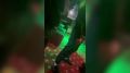 ������ ����� � ������-���������: ������� � ���������� ��������� ���� � �����