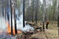 В Иркутской области 27 мая потушили пять лесных пожаров