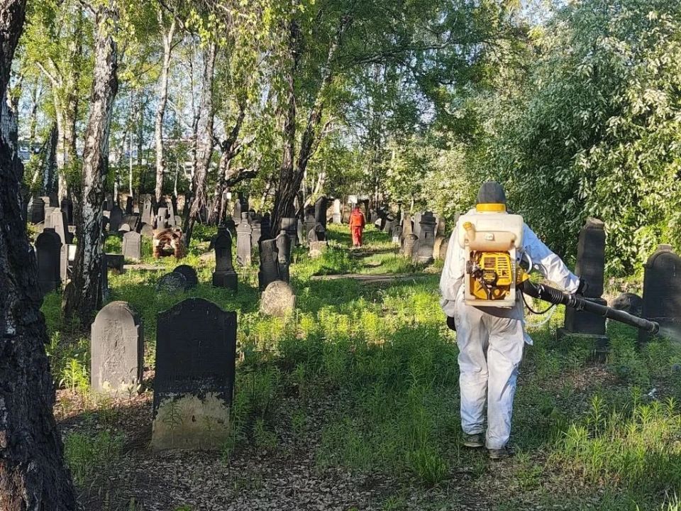 В Иркутске продолжается обработка от клещей В Иркутске продолжается обработка от клещей