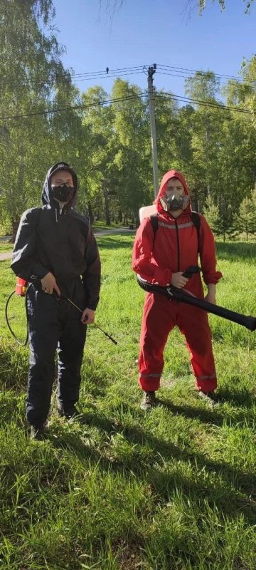 В Иркутске продолжается обработка от клещей В Иркутске продолжается обработка от клещей