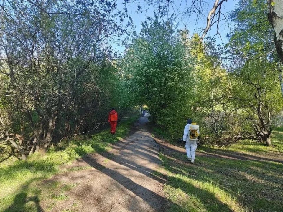 В Иркутске продолжается обработка от клещей В Иркутске продолжается обработка от клещей