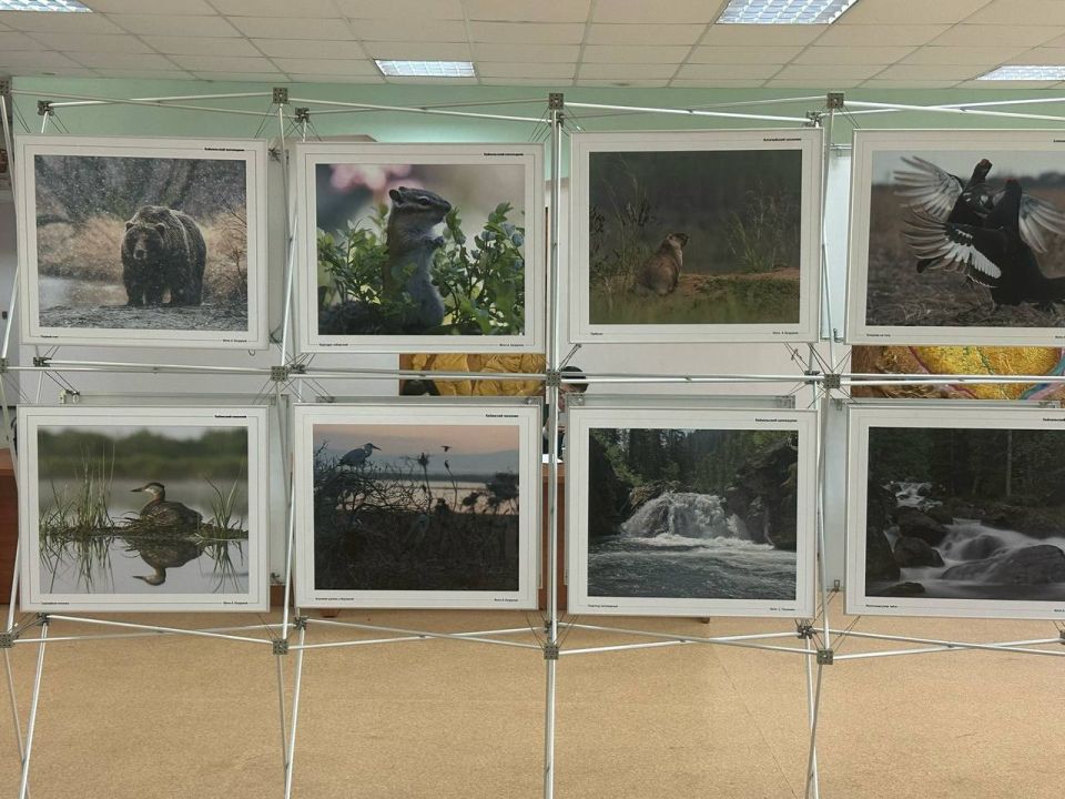 В Байкальске стартовал международный форум по экологии В Байкальске стартовал международный форум по экологии