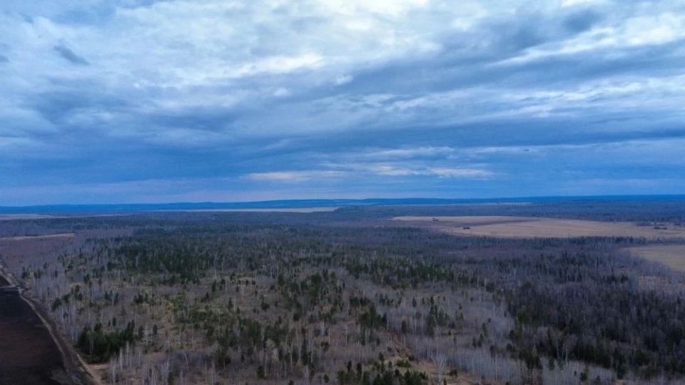 В Иркутской области с 29 по 31 мая потушили восемь лесных пожаров