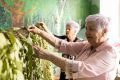 ��������� �� ������-���������� ������ ������������� ���� ��� ��������������
