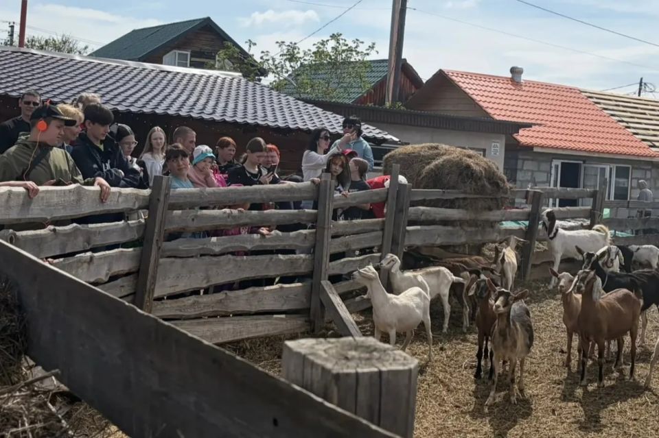 Семейную ферму по производству козьего сыра посетили дети участников СВО