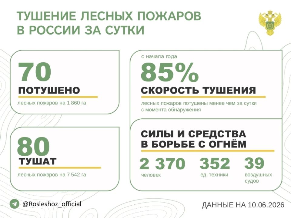 За прошедшие сутки в 17 регионах России потушили 70 лесных пожаров