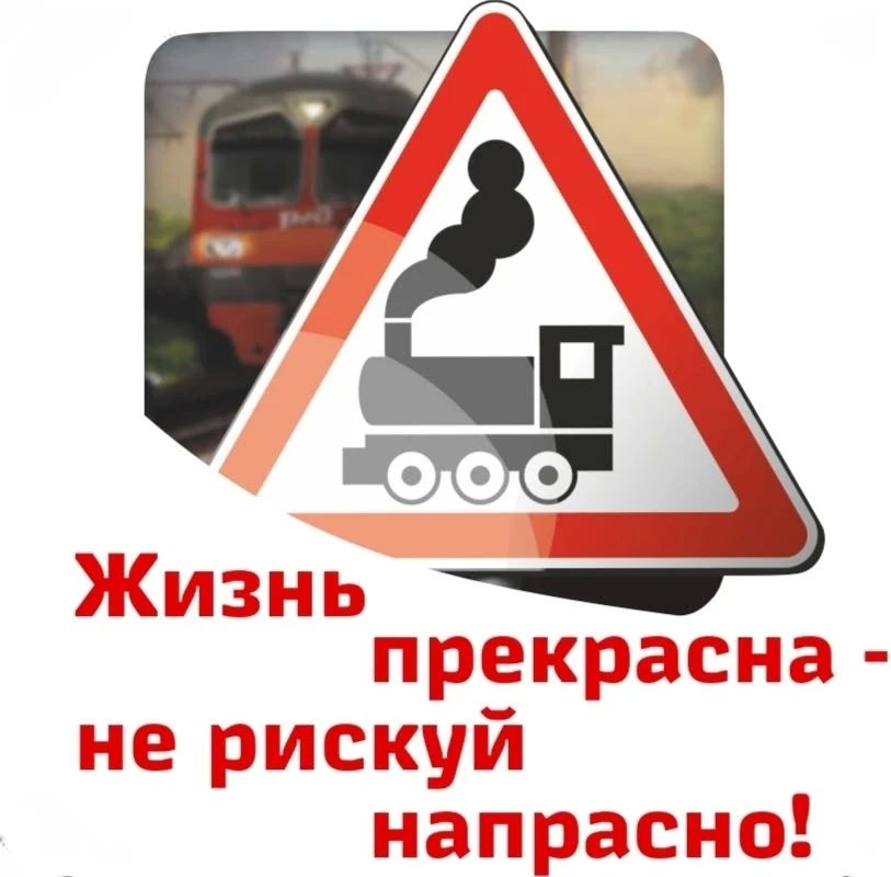 «Жизнь прекрасна – не рискуй напрасно!» «Жизнь прекрасна – не рискуй напрасно!»