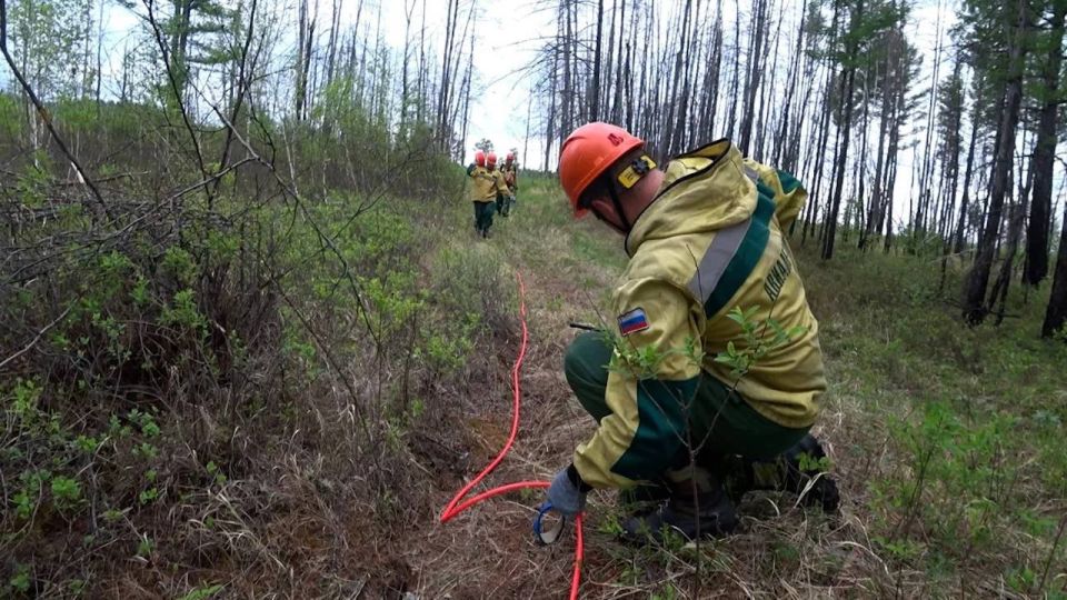 В Иркутской области Федеральная Авиалесоохрана применит взрывной метод прокладки минерализированных полос для ликвидации лесного пожара в Нижнеилимском муниципальном округе